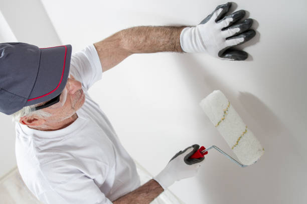 Best Mold Prevention Services  in Pquemine, LA