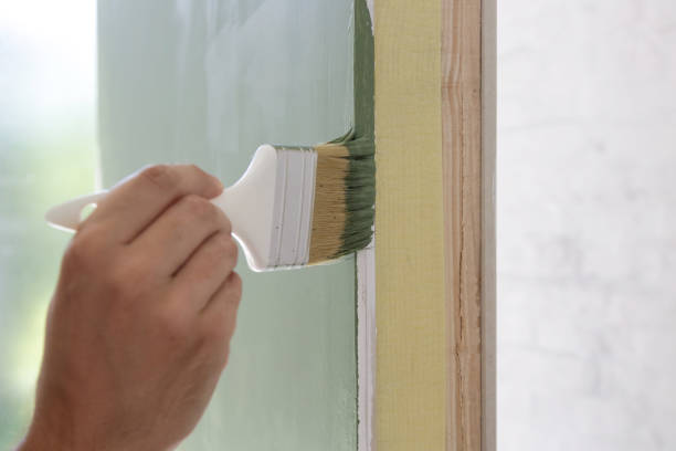 Reliable Plaquemine, LA Mold Removal Solutions