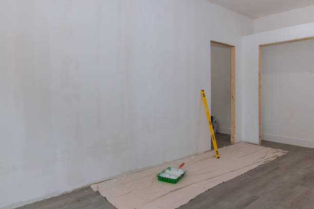 Best Attic Mold Removal  in Pquemine, LA