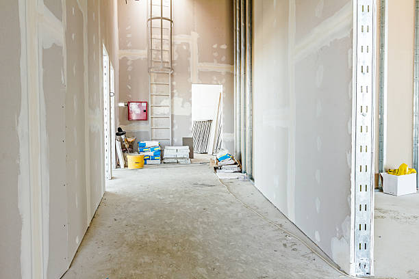 Best Biohazard Mold Removal  in Pquemine, LA